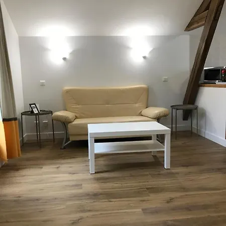 Le Petit Faure - Face Aux Thermes - Calme - Parking Gratuit